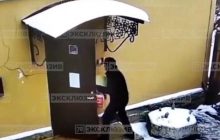 В Санкт-Петербурге арестовали мужчину, напавшего на коменданта Генконсульства Украины