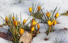 В Украину идет потепление: сегодня температура повысится до +10° (карта)