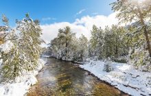 В Украину ворвется долгожданное тепло, две области накроют дожди (карта)