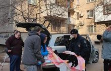 В Одесі за дивних обставин загинув собака, в його тілі знайшли кулю (фото)