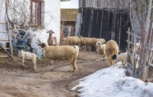 Народные обычаи 28 февраля: приметы и традиции в день Зимобора