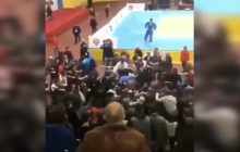 В России соревнования по дзюдо закончились массовым побоищем (видео)