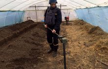 Житель Николаевщины нашел в своем огороде минометные мины (фото)