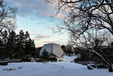 Winter in Kyiv's Hryshko Botanical Garden