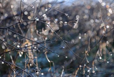 Синоптик розказала, яка погода чекає українців на початку березня