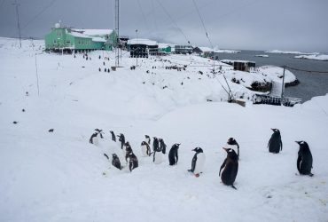Best photos from Ukrainian polar explorers on Vernadsky Antarctic Station's 25th anniversary