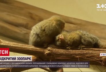 Новини світу: 260-річний зоопарк у Відні відкрився для відвідувачів після карантину