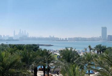 One night in Dubai. Скромна чарівність життя шейхів