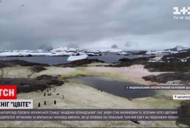 Новини світу: біля станції "Академік Вернадський" сніг став кольоровим