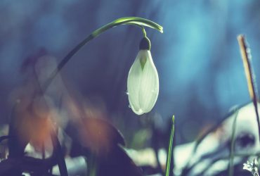 Ночные морозы отступят: синоптик рассказала, когда в Украину придет тепло