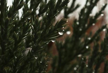 Перед вихідними в Україні стане тепліше, але частину країни накриють дощі (карта)