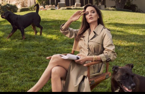 Анджелина Джоли продемонстрировала стильные "луки" во время интервью Vogue (фото)