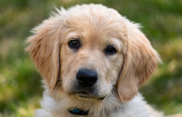 3 лютого 2021 - яке сьогодні свято, прикмети та іменинники, що сьогодні не можна робити