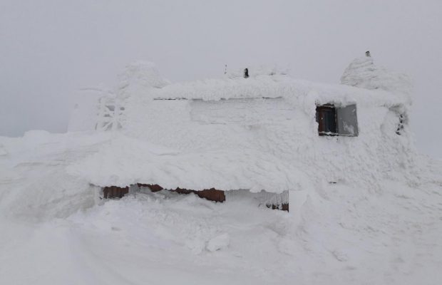 Через снігопади, відлигу та дощі у Карпатах можуть зійти лавини