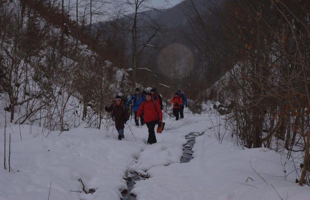 Пошли третьи сутки: в Карпатах продолжают искать потерянного туриста (видео)