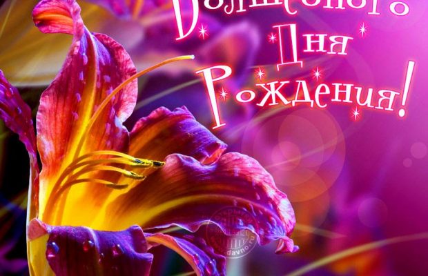 Как поздравить женщину с днем рождения: красивые стихи и картинки