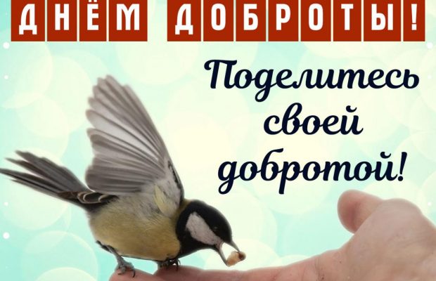 Поздравления с Днем доброты 2022 - открытки и веселые стихи к позитивному празднику