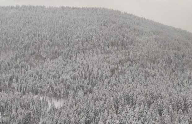 На Закарпатье восьмые сутки ищут пропавшего туриста из Киева (видео)