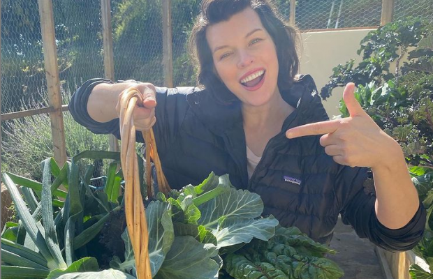 Мілла Йовович зіграє у фільмі свого чоловіка за оповіданням Джорджа Мартіна "У втрачених землях"