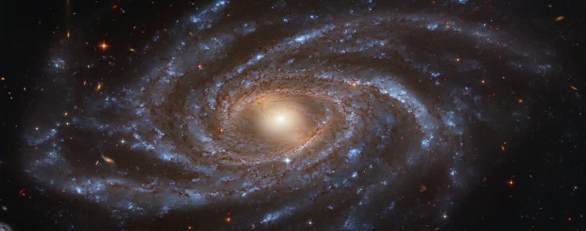 Ця галактика знаходиться в сузір'ї Жирафа / фото ESA / Hubble & NASA, V. Antoniou Ця галактика знаходиться в сузір'ї Жирафа / фото ESA / Hubble & NASA, V. Antoniou