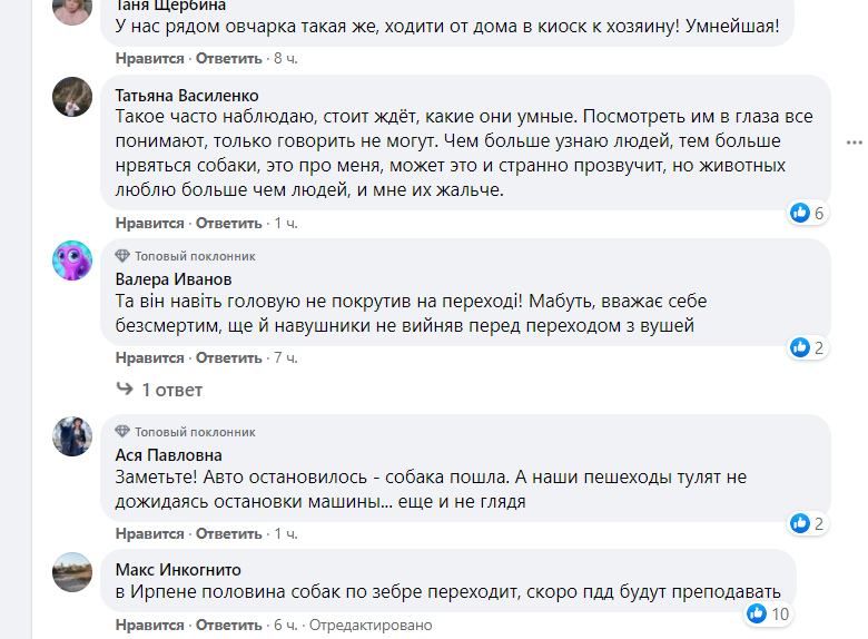 скріншот скріншот