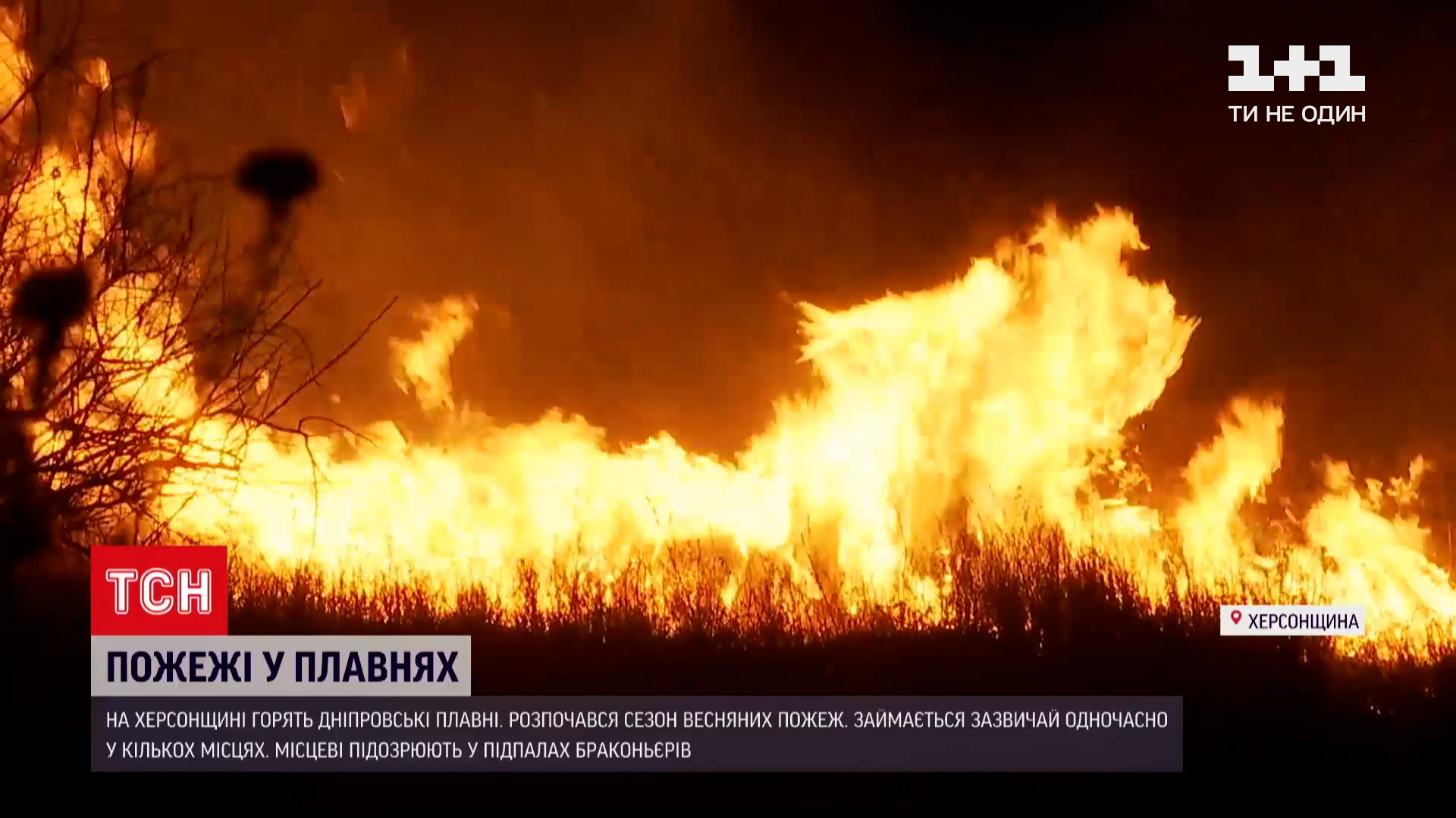 Обычно гореть начинает одновременно в нескольких местах / скриншот из видео Обычно гореть начинает одновременно в нескольких местах / скриншот из видео