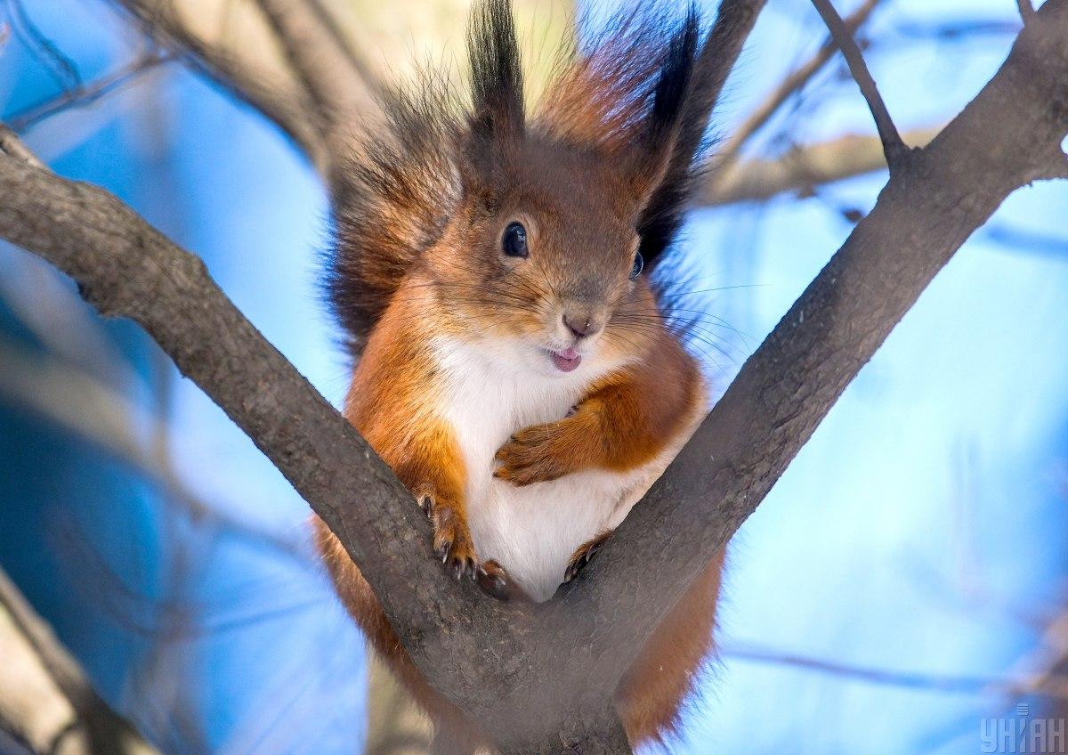 19 января в Украине будет необычайно тепло / фото УНИАН 19 января в Украине будет необычайно тепло / фото УНИАН