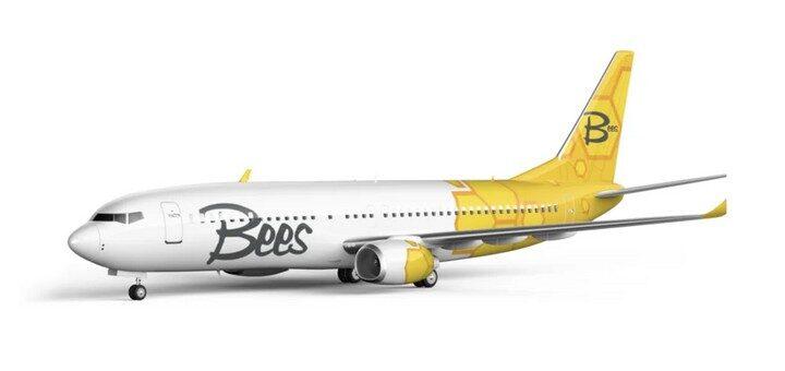 Зараз в Україні вже знаходиться один літак авіакомпанії / фото bees.aero Зараз в Україні вже знаходиться один літак авіакомпанії / фото bees.aero