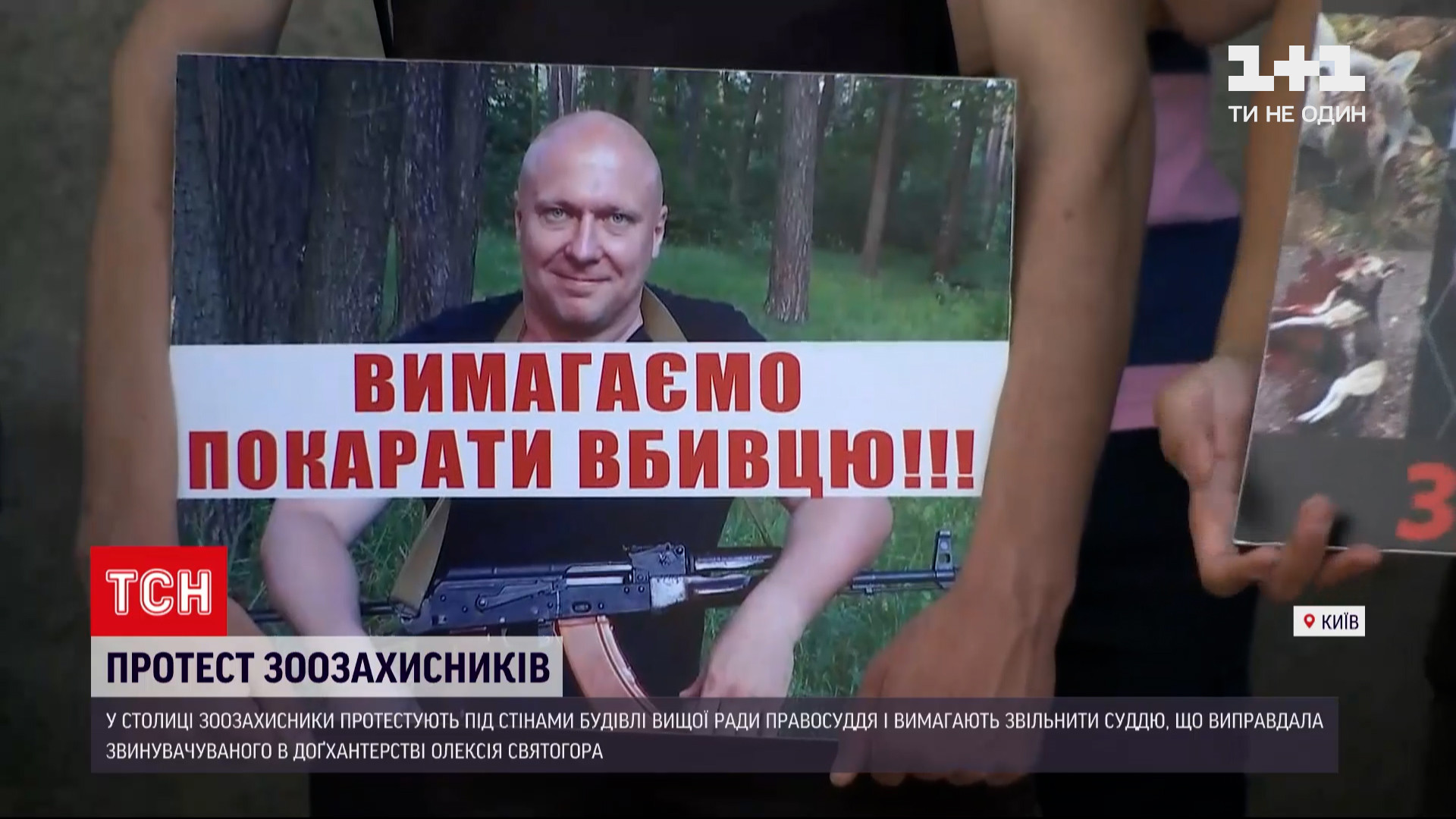 Cвятогор хизувався фото та відео вбитих тварин в інтернеті / скріншот з відео Cвятогор хизувався фото та відео вбитих тварин в інтернеті / скріншот з відео