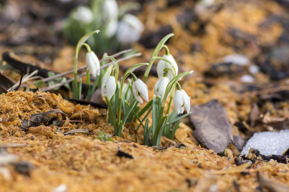 Прикмети на сьогодні