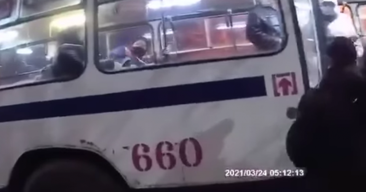 скріншот відео скріншот відео