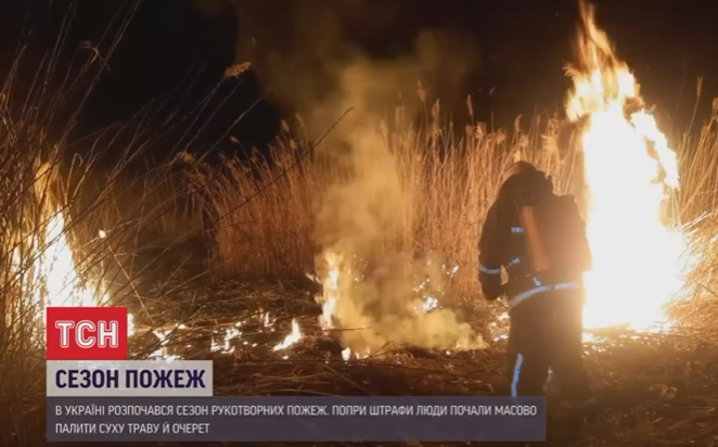 Сезон рукотворных пожаров стартовал в Украине / скриншот видео