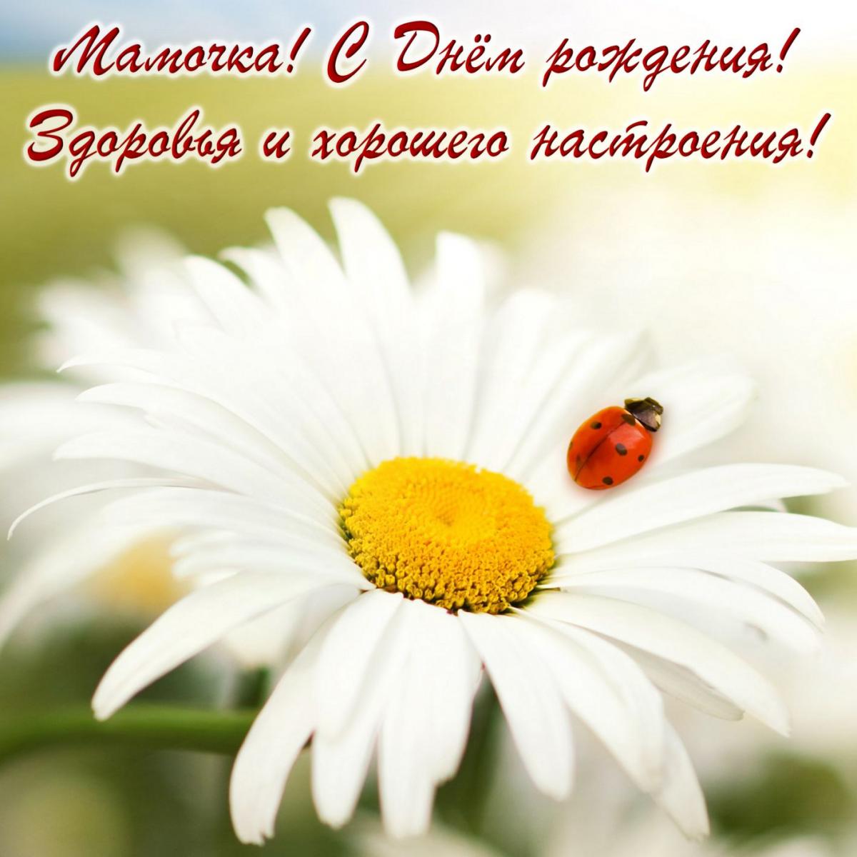 Что можно написать маме в открытке. Смотреть фото Что можно написать маме в открытке. Смотреть картинку Что можно написать маме в открытке. Картинка про Что можно написать маме в открытке. Фото Что можно написать маме в открытке