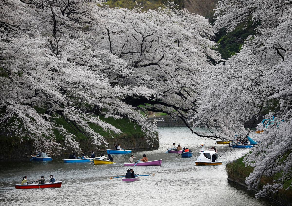 Япония открывает границы для туристов / фото REUTERS