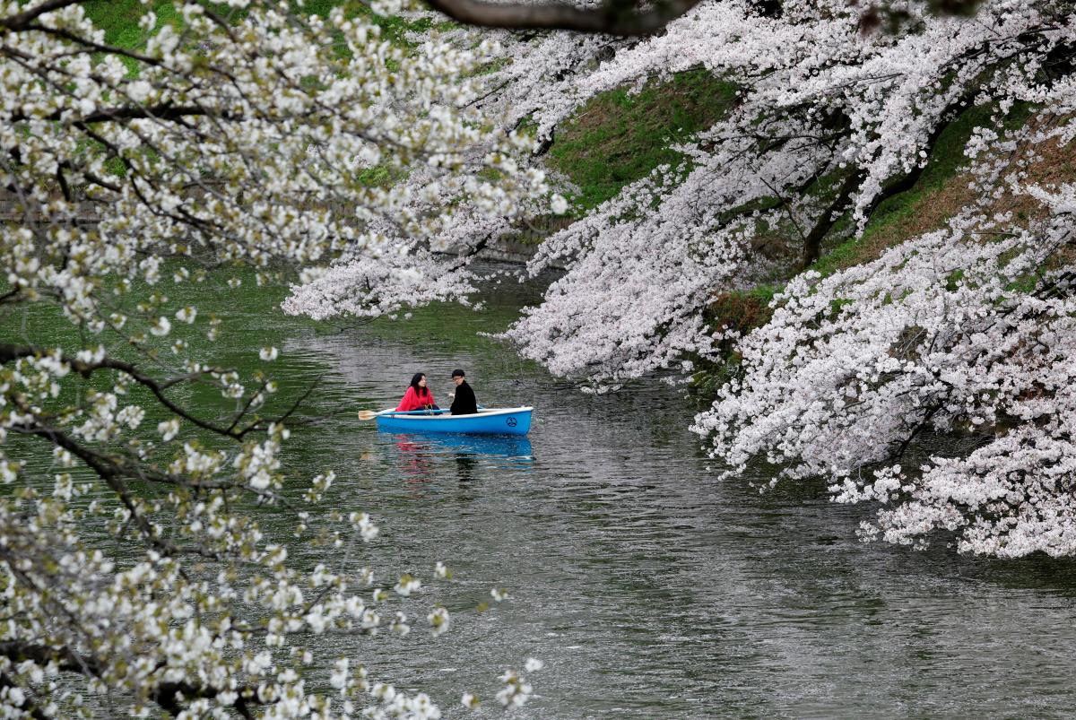 Японцам помогут почувствовать себя нужными обществу \ фото REUTERS