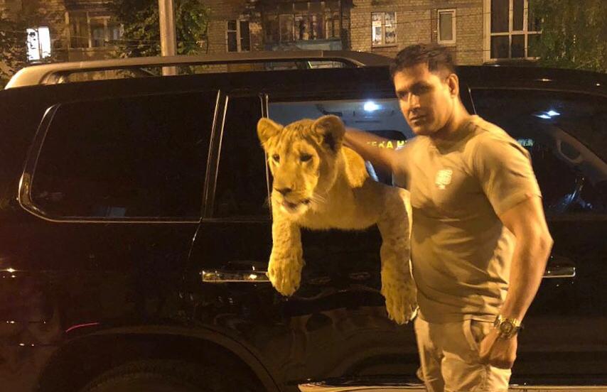 Саид Джавид со своим львом / фото instagram.com/0001_im Саид Джавид со своим львом / фото instagram.com/0001_im
