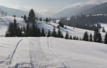 В Карпатах на три дня объявили оранжевый уровень опасности (карта)