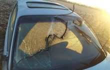 Смертельна аварія на Харківщині: авто злетіло в кювет, серед загиблих 18-річна курсантка (фото)