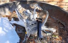 В Одессе на крышу дома с квадрокоптера сбросили гранату - соцсети (фото)
