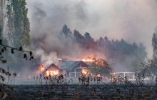Опубликованы ужасающие кадры последствий лесных пожаров в Аргентине (фоторепортаж)