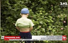 Скандал в детсаду Киева: воспитатели запрещали мальчику писать стоя, угрожали "полицией" и высмеивали - соцсети (видео)
