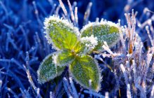 Холод из Арктики охватит Украину: температура упадет до -4°, - синоптик (видео)