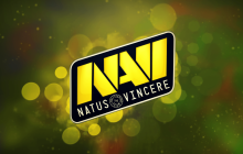 Украинская команда NAVI будет помогать собакам и котам из приютов найти новый дом