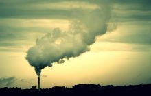 Energy Ministry to stimulate biofuel energy generation through zero tax rate
