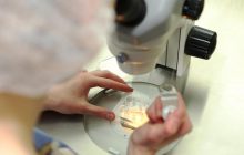 День науки 2022: история праздника и лучшие поздравления