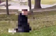 В Запорожье пара занялась сексом в парке средь бела дня: на глазах у прохожих и детей (видео, 18+)