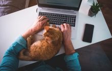 Психолог объяснила, как концентрироваться на работе во время войны