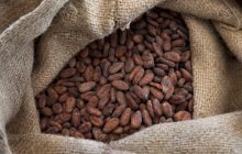 Ferrero расширяет программу устойчивого развития какао
