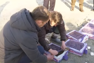 В Киеве задержали браконьера со 150 птицами для ОАЭ (видео)