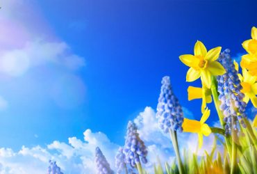 Много солнца и синего неба: известный синоптик прогнозирует украинцам сухую и теплую субботу